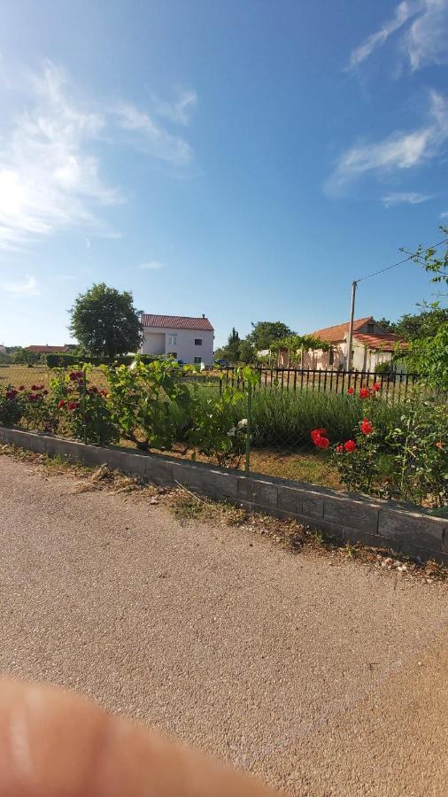 Apartmán Luka Galovac  Exteriér fotografie
